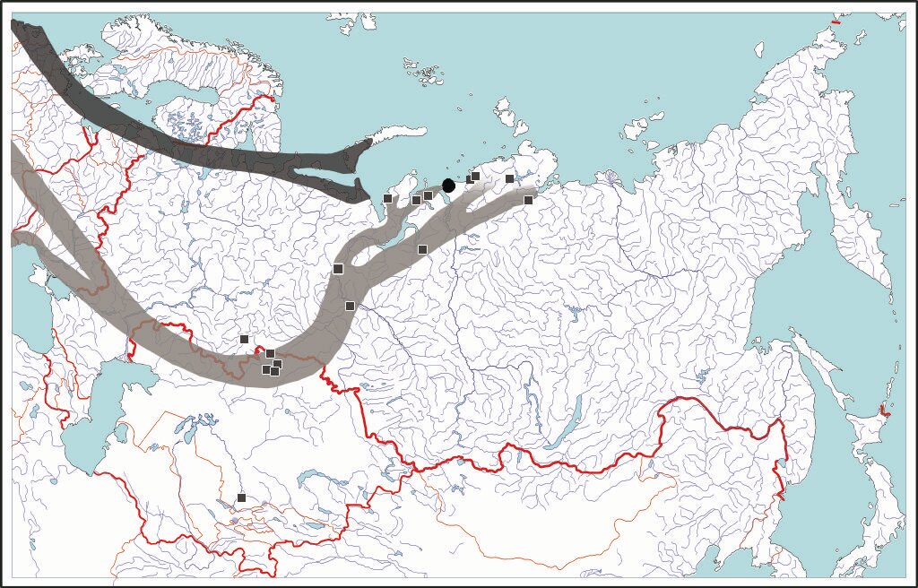 карта миграции гусей 2021. карта осенней миграции гусей. карта весенней миграции гусей. карта миграции гусей в россии. пути миграции гусей.