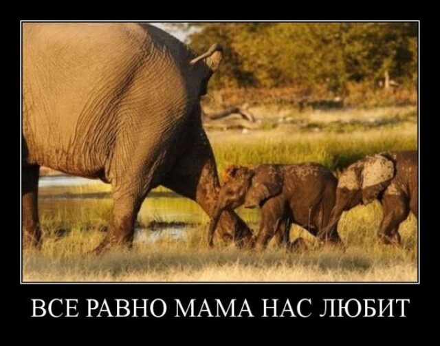 Демотиваторы для позитива 