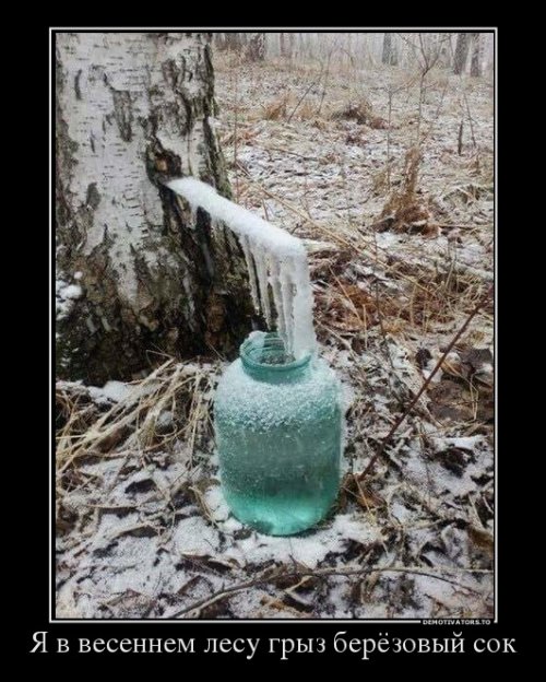 Свежие демотиваторы на любой вкус (22 шт)