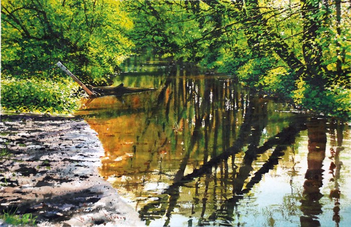 Живая акварель. Картины Джо Фрэнсиса Даудена Живая акварель. Картины Джо Фрэнсиса Даудена