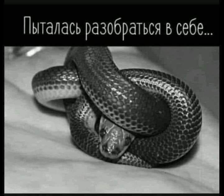 Объявление: "Помогу ликвидировать супружеский долг. Возможна работа вахтовым методом"