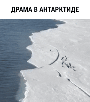 Вопрос на кулинарном форуме: - Какое вино больше подойдет для фуршета из тарталеток с черной икрой: бургундское или андалузское? Ответ: - Да чтобы Вы подавились!!! Вопрос на кулинарном форуме: - Какое вино больше подойдет для фуршета из тарталеток с черной икрой: бургундское или андалузское? Ответ: - Да чтобы Вы подавились!!! анекдоты,юмор