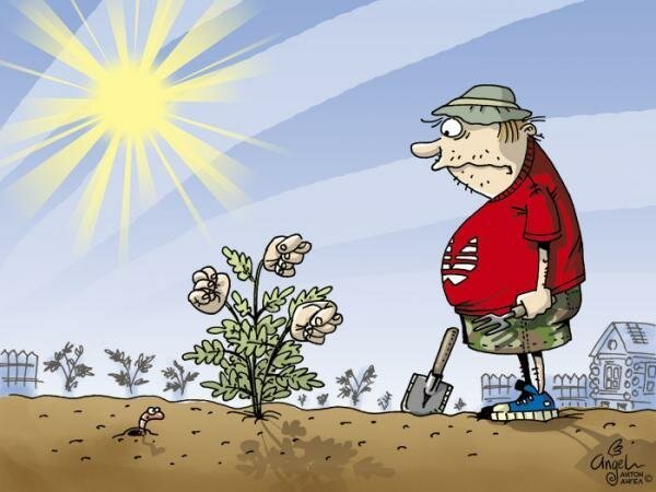 Дачный юмор 