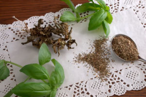 Как правильно высушить базилик на зиму пучком и листом?