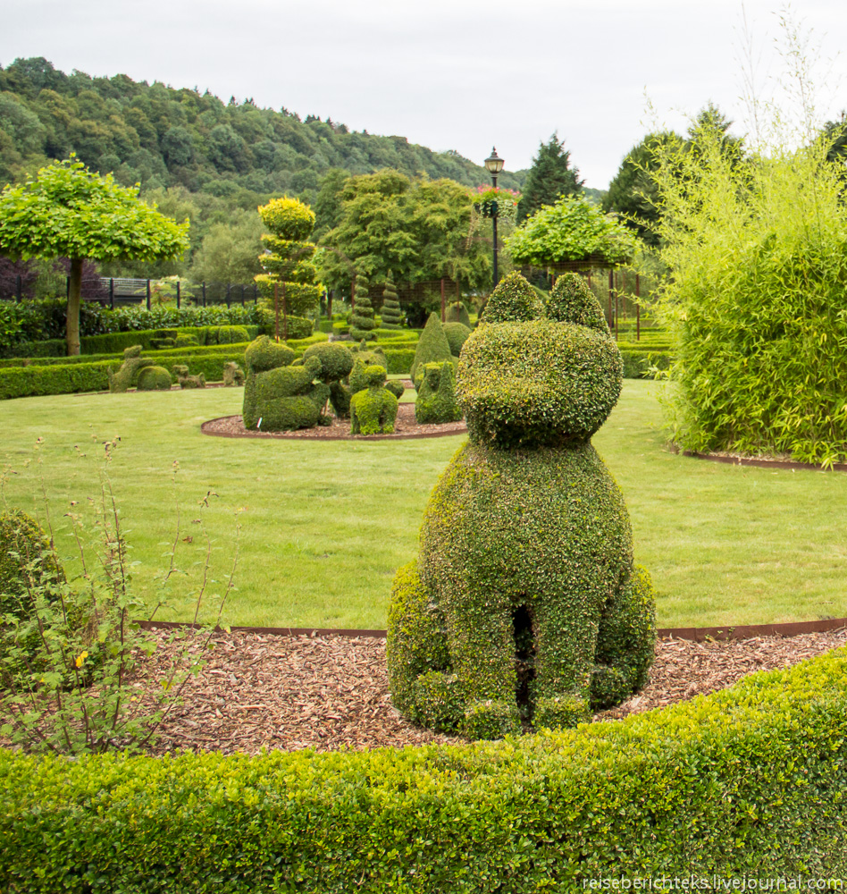 Парк топиара в Дюрбюи (Бельгия) Topiary, топиар, парков, деревьев, Garden, можно, фигуры, некоторые, формы, Topiares, топиара, действительно, Франции, фигур, кусты, много, только,  Топиар, Чандигархе, Индия