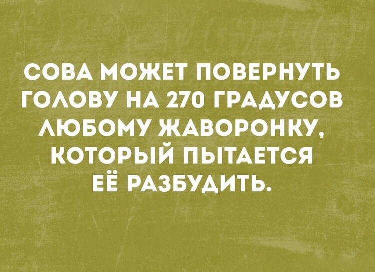 Новая подборка из 15 коротких невыдуманных рассказов, фраз и анекдотов с просторов интернета 