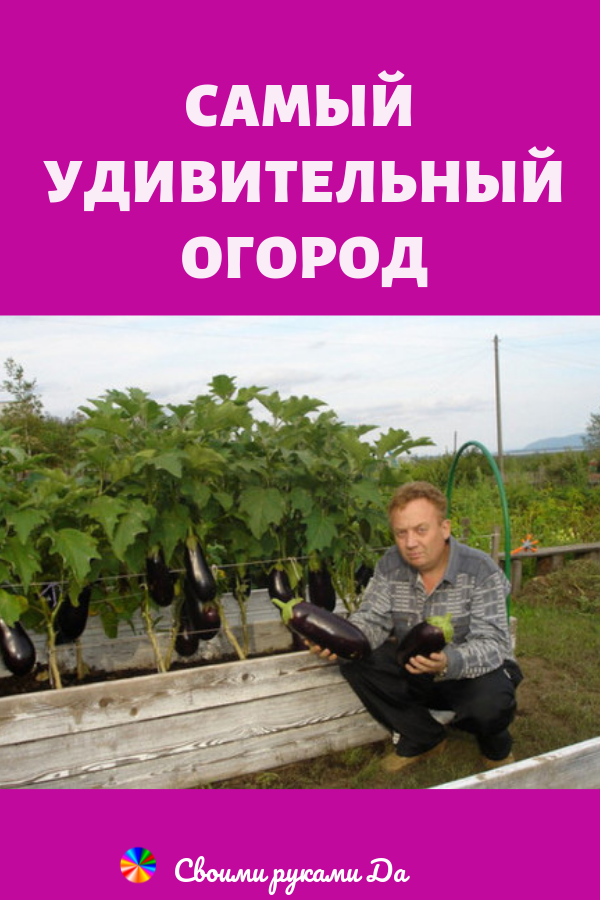 Огород и дача своими руками: Я работаю, поэтому на дачный участок могу выезжать только на выходных. При этом надо отдохнуть после трудовой недели, покушать шашлык, попариться в бане, ну и маленько потрудиться на земле. В настоящее время в садоводстве существует несколько проблем: плодородие почвы падает.