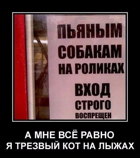 Демотиваторы