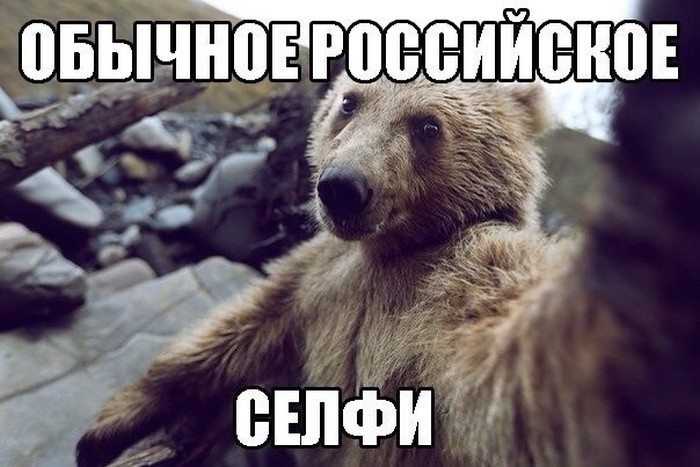 Веселые картинки и смешные фото приколы с надписями из сети