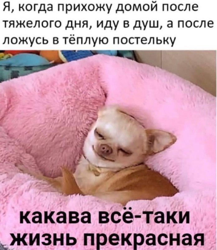 Клевые картинки с юмором Клевые картинки с юмором