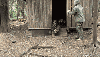 Смешные и веселые гифки для настроения 