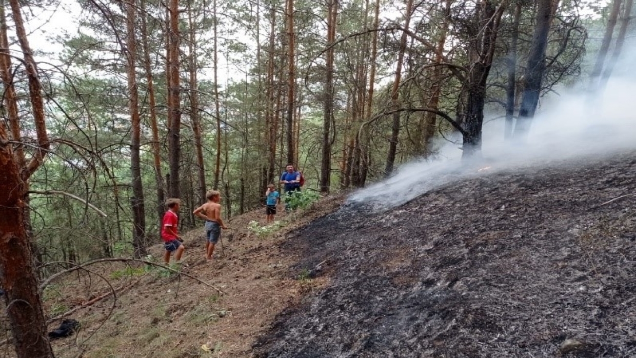 Школьники помогли спасателям справиться с лесным пожаром под Пензой