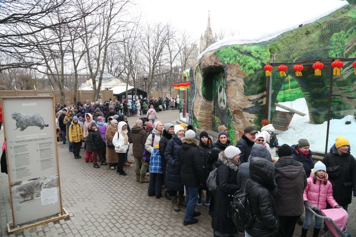 В зоопарке Комсомольска-на-Амуре проснулась гималайская медведица Шурочка