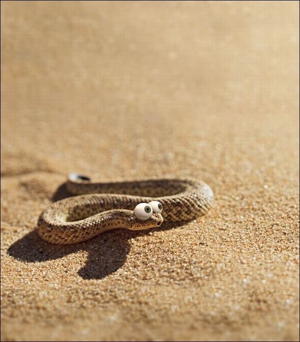 Улыбательные картинки картинки, прикол., фото
