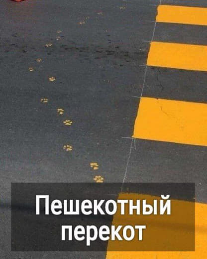 Юморные картинки 