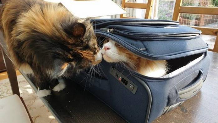 Забавные, зачетные и смешные фото приколы из нашей жизни картинки с надписями,приколы,фото приколы,юмор