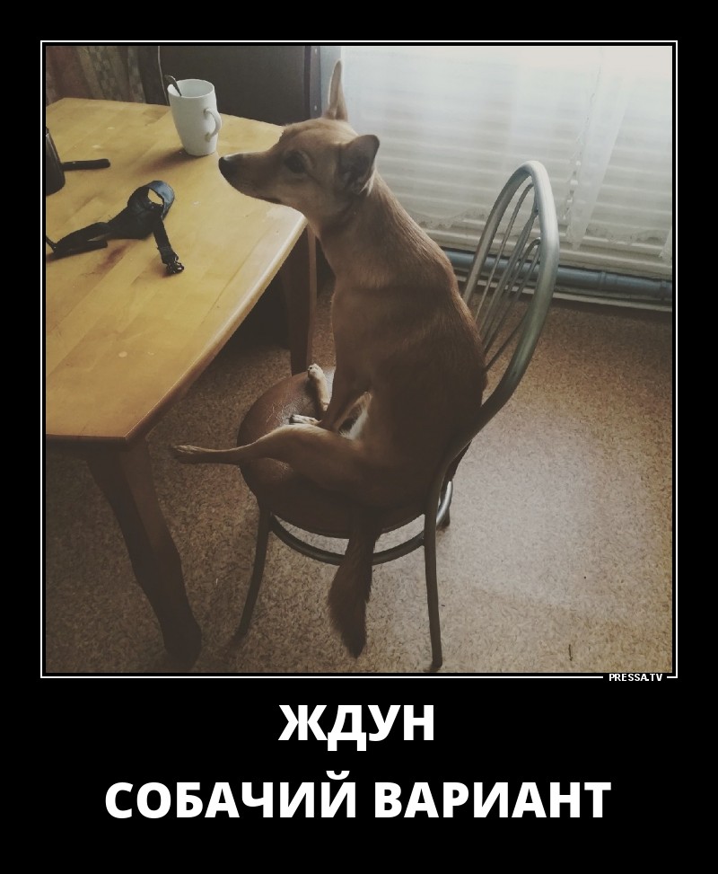 Забавные веселые демотиваторы обо всем на свете Забавные веселые демотиваторы обо всем на свете