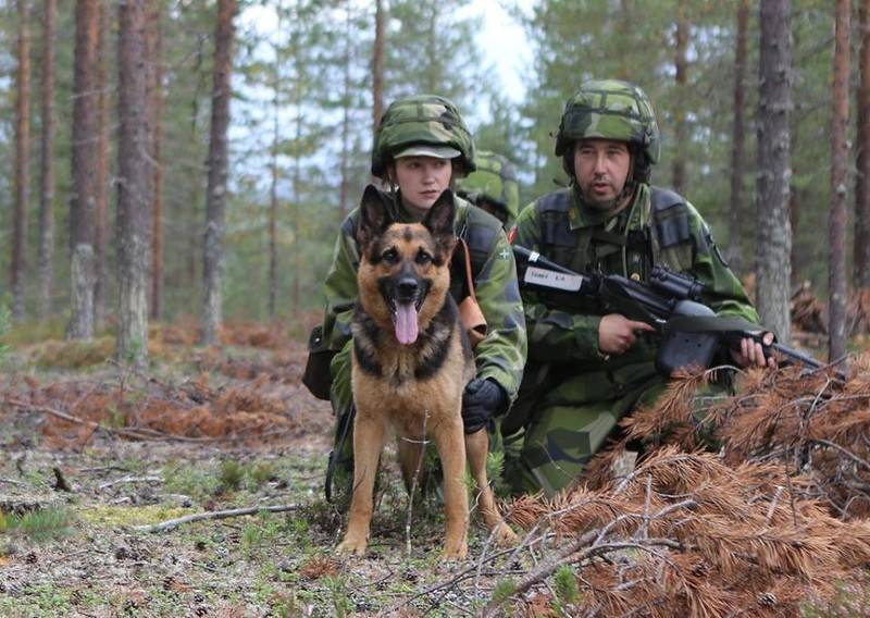 Швеция готовится партизанить против России три месяца до прибытия помощи
