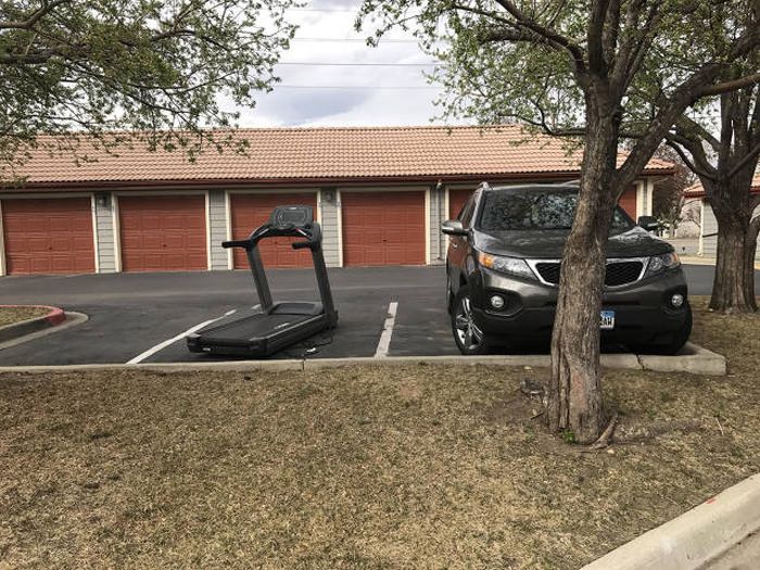 Классные и прикольные фотографии для настроения и улыбки 