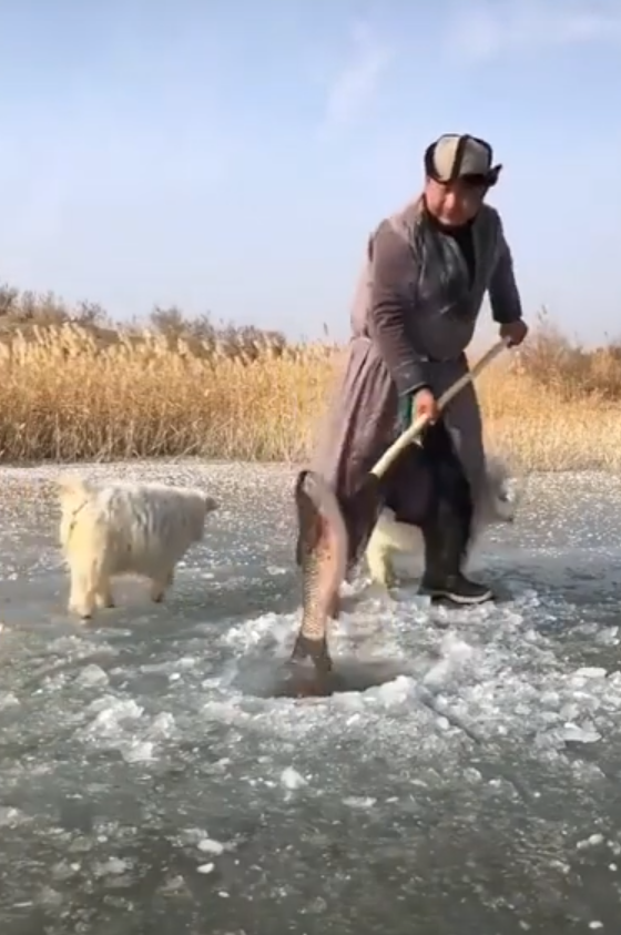 Особенности национальной рыбалки Особенности национальной рыбалки