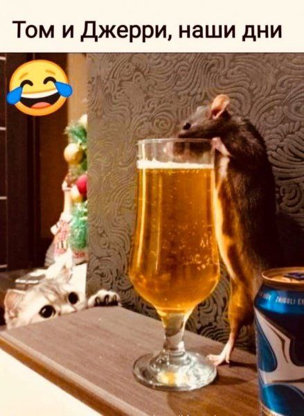 Юморные картинки 