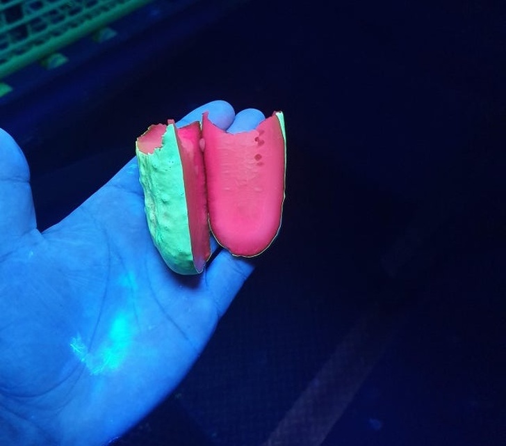 20 фотографий интересных вещей, которые редко можно увидеть и то, если очень повезет 20 фотографий интересных вещей, которые редко можно увидеть и то, если очень повезет