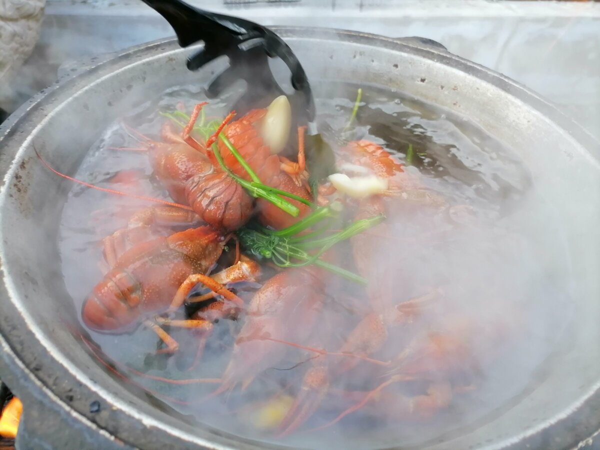 Научилась варить речных раков вкуснее камчатских крабов. Видео раков, нужно, очень, будет, можно, потому, этого, получаются, рекомендую, деликатес, живых, который, кипящую, придавить, которые, перед, зубчиков, настоящий, тыльной, стороной