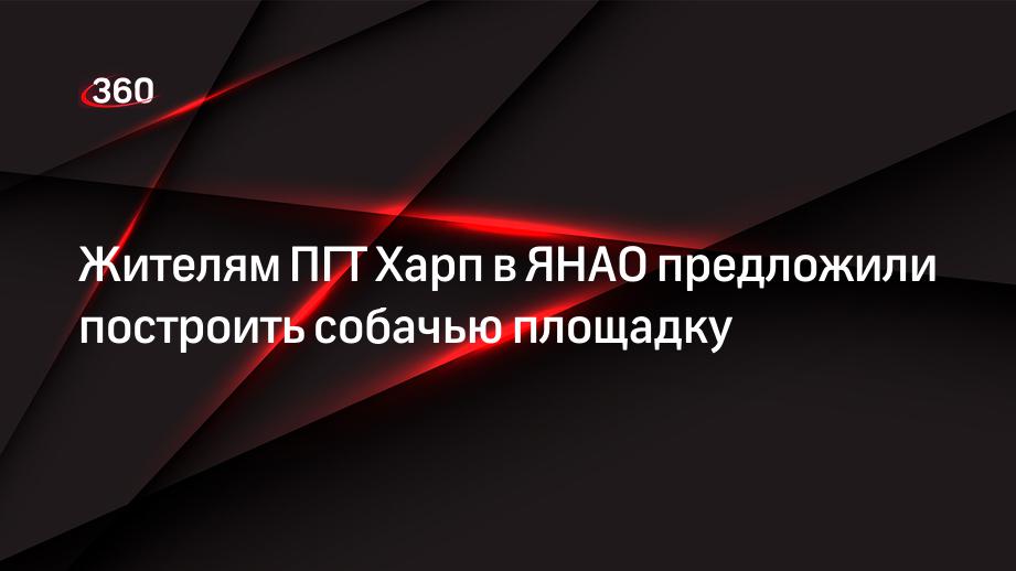 Жителям ПГТ Харп в ЯНАО предложили построить собачью площадку