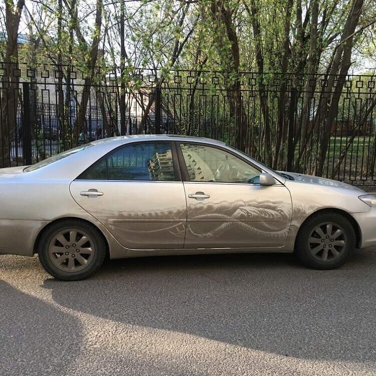 Парень превращает грязные автомобили в шедевры уличного искусства Парень превращает грязные автомобили в шедевры уличного искусства