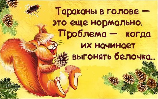 Э-х-х-эх! Надену сарафан в белую горошину! юмор