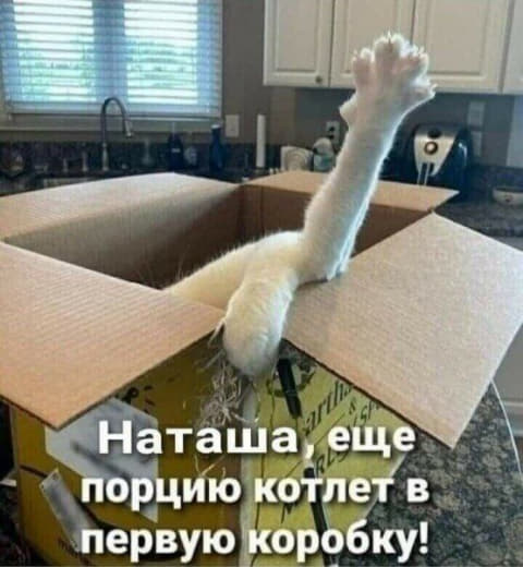 Юморные картинки 