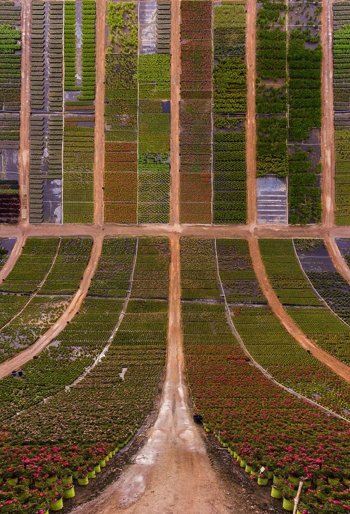 Flatland