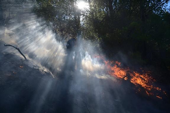 В Греции бушуют пожары
