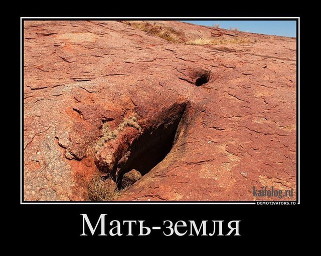 Веселые картинки для зарядки позитивчиком с утра Веселые картинки для зарядки позитивчиком с утра