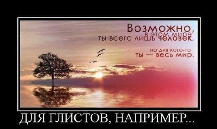 Веселые и смешные демотиваторы для настроения (10 фото)