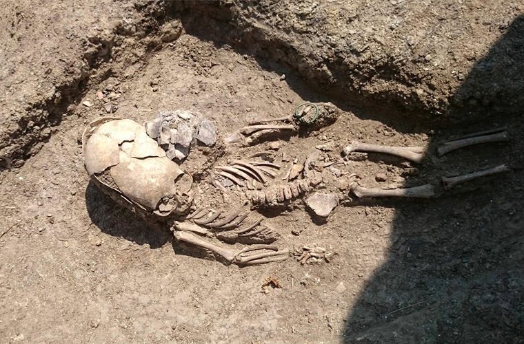 Находки при строительстве трассы Таврида Находки при строительстве трассы Таврида