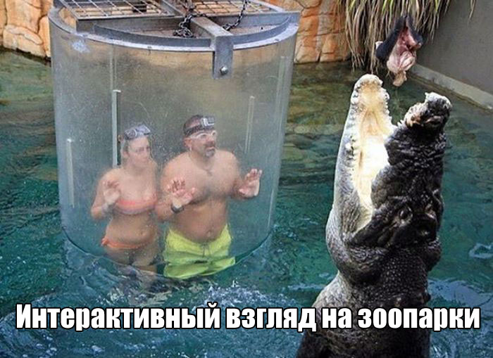 Подборка картинок. Дневной выпуск (52 фото)