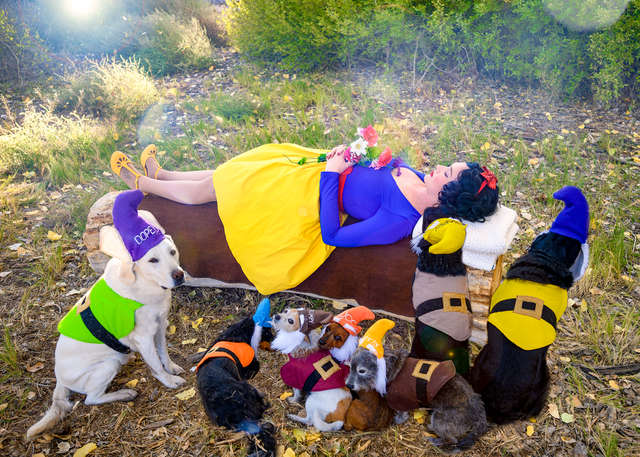 девушка с собаками