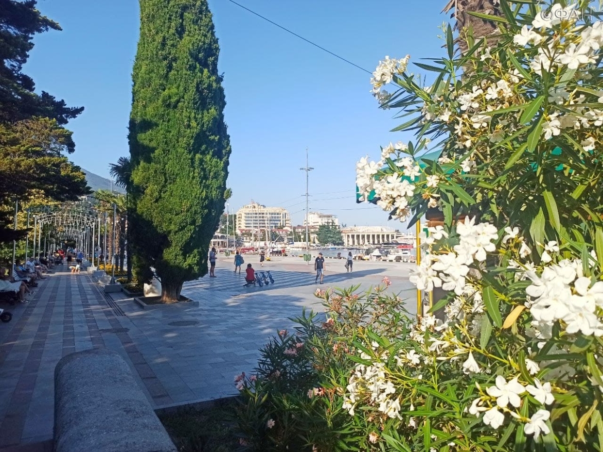 Ялта расцвела после потопа: в курортной столице Крыма высадили тысячи цветов Общество