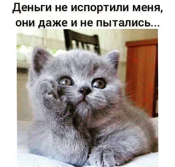 Заряжаемся свеженьким юмором! Большая подборка смешного, веселого и приятного! Заряжаемся свеженьким юмором! Большая подборка смешного, веселого и приятного!