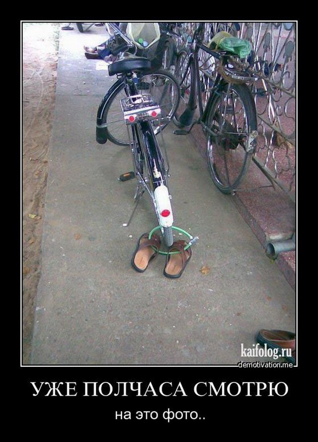 Веселые картинки для зарядки позитивчиком с утра Веселые картинки для зарядки позитивчиком с утра