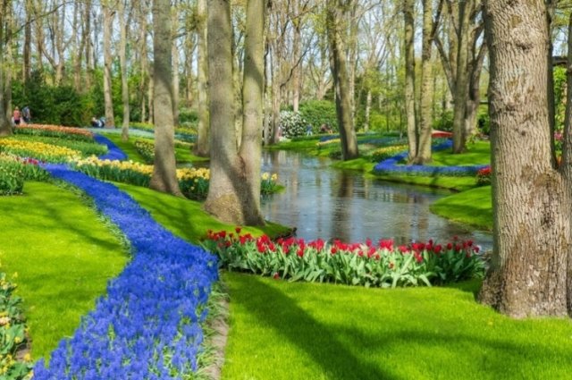 Как сделать цветочный ручей: пошаговая инструкция дача,ландшафтный дизайн,сад и огород