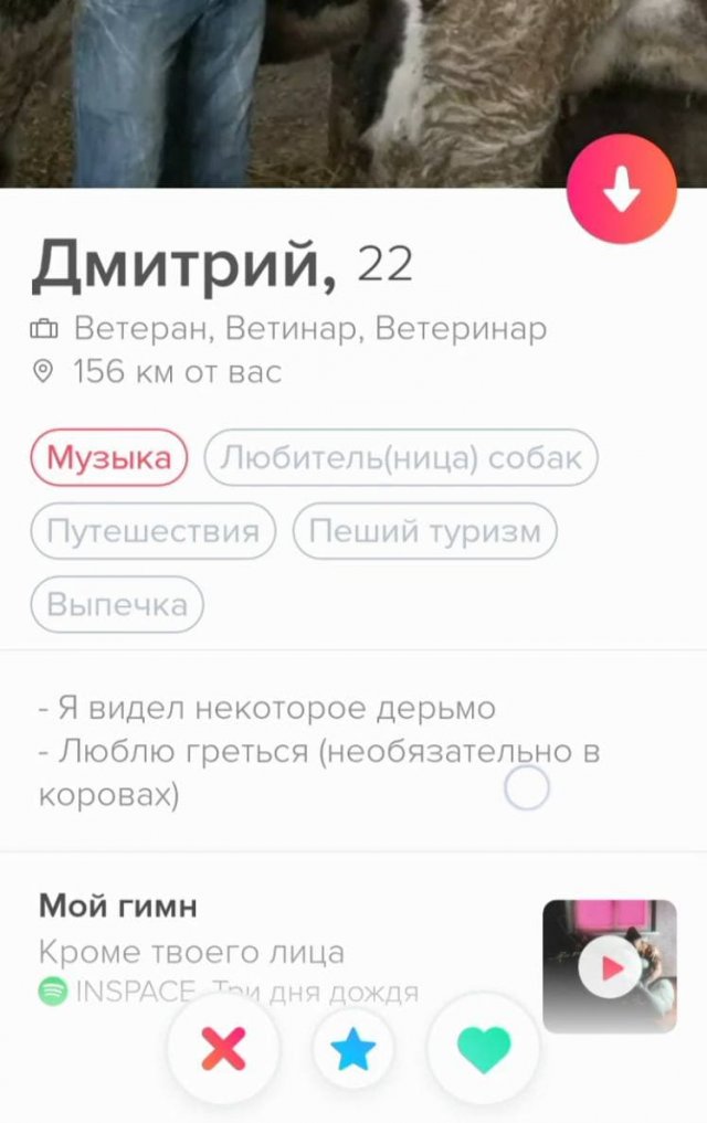 Забавные и смешные анкеты из приложения для знакомств Забавные и смешные анкеты из приложения для знакомств позитив,смешные картинки,юмор