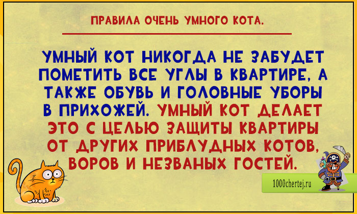 17 весёлых открыток про то, что быть умным котом целая наука! 