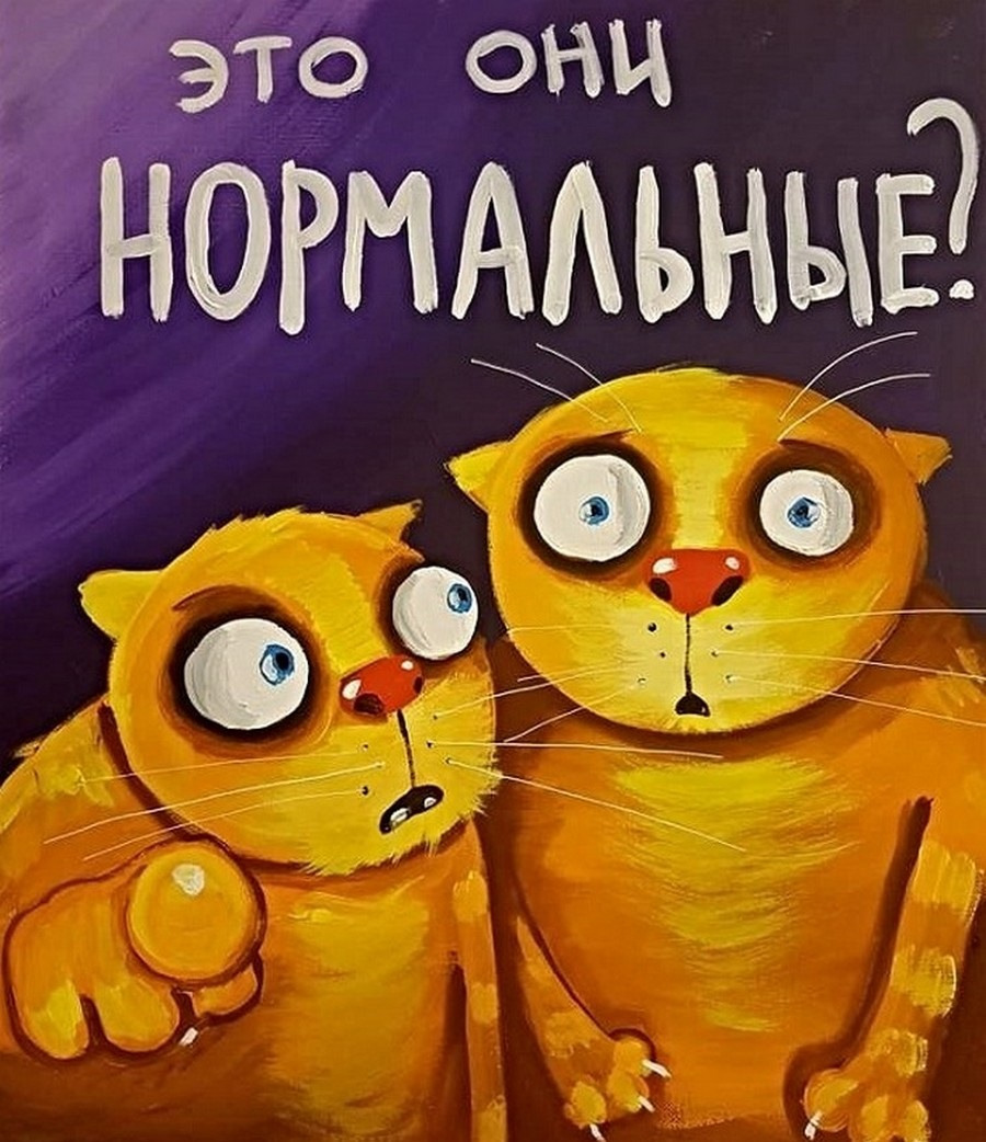 «»