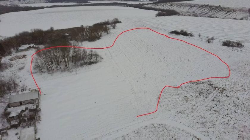 Это вам не Усс: белгородскому крестьянину за кузнечиков и червячков выписали 17 млн штрафа и грозят отнять детей россия