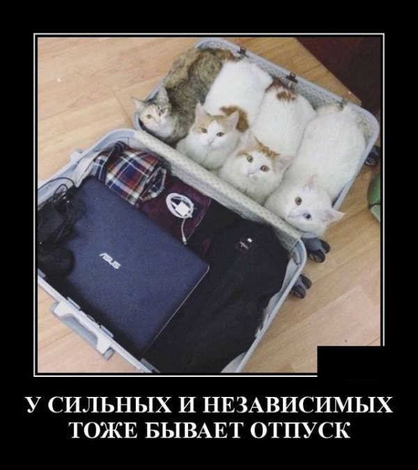 Забавные веселые демотиваторы обо всем на свете Забавные веселые демотиваторы обо всем на свете