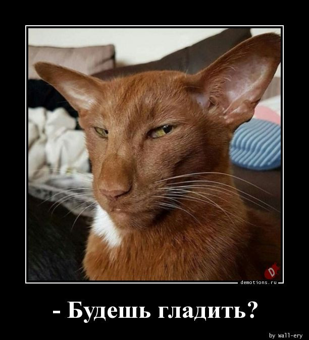 Прикольные демотиваторы для всех: «Пятница» 