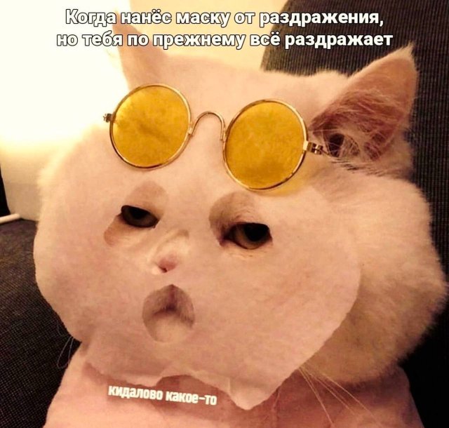 Именно чайники развивают самую кипучую деятельность  