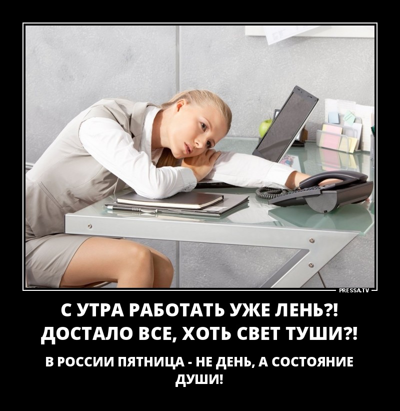 Пятничные демотиваторы для поднятия настроения 